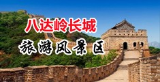 外国人日批中国北京-八达岭长城旅游风景区